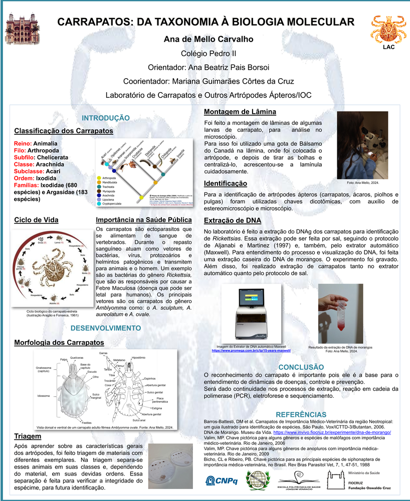 Pôster apresentado pela estudante Ana de Mello Carvalho sob orientação da pesquisadora Ana Beatriz Pais Borsoi e coorientação da pesquisadora Mariana Guimarães Côrtes da Cruz: Carrapatos: da Taxonomia à Biologia Molecular Lirn.