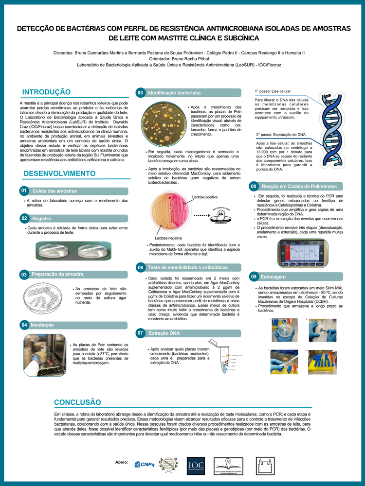 Pôster apresentado pelos estudantes Bernardo Pastana de Sousa Poltronieri e Bruna Guimarães Martins sob orientação do pesquisador Bruno Rocha Pribul: Detecção de Bactérias com Perfil ce Resistência Antimicrobiana Isoladas de Amostras de Leite com Mastite Clínica e Subcínica.