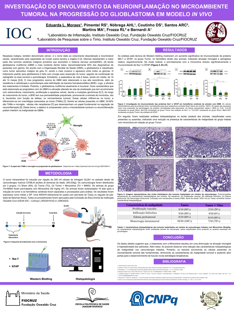 Pôster apresentado pela estudante Eduarda Lima Moraes sob orientação dos pesquisadores Andressa Bernardi e Rafael Sampaio Pimentel: Investigação do envolvimento da neuroinflamação no microambiente tumoral na progressão de glioblastoma em modelo in vivo.