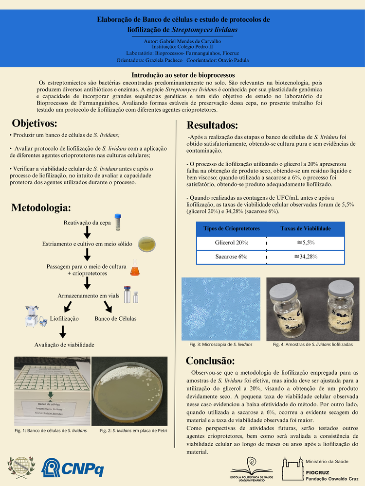 Pôster apresentado pelo estudante Gabriel Mendes de Carvalho sob orientação da pesquisadora Graziela Pacheco e coorientação do pesquisador Otavio Padula: Elaboração de Banco de células e estudo de protocolos de liofilização de Streptomyces lividans.
