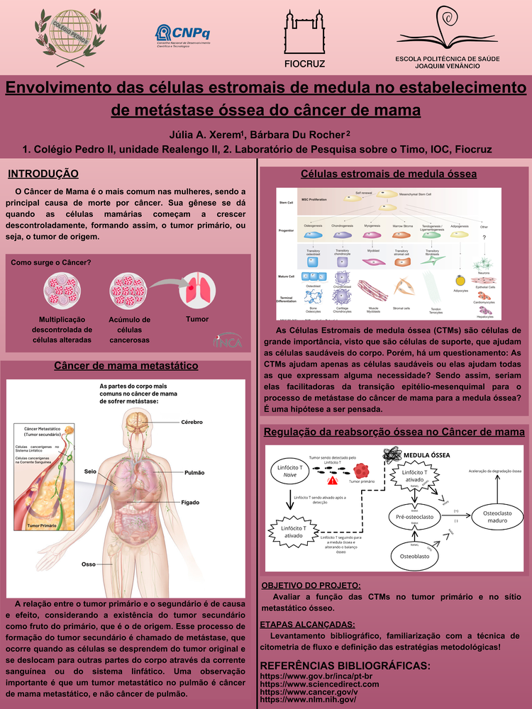 Pôster apresentado pela estudante Júlia de Almeida Xerem sob orientação da pesquisadora Bárbara du Rocher: Envolvimento das células estromais de medula no estabelecimento de metástase óssea do câncer de mama.