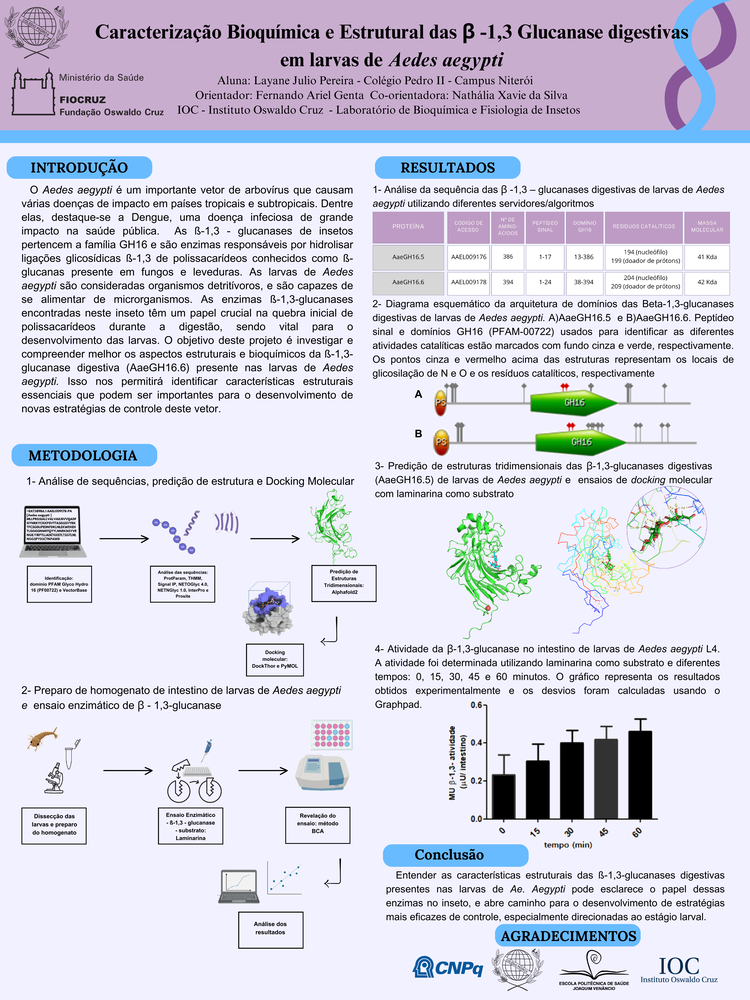 Pôster apresentado pela estudante Layane Julio Pereira sob orientação do pesquisador Fernando Ariel Genta e coorientação da pesquisadora Nathália Xavier da Silva: Caracterização Bioquímica e Estrutural das β -1,3 Glucanase digestivas em larvas de Aedes aegypti.