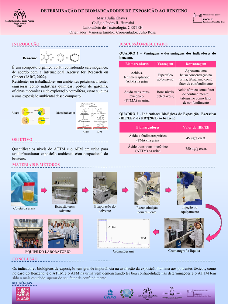 Pôster apresentado pela estudante Maria Júlia Chaves sob orientação da pesquisadora Vanessa Emídio e coorientação do pesquisador Julio Rosa: Determinação de biomarcadores de exposição ao benzeno.