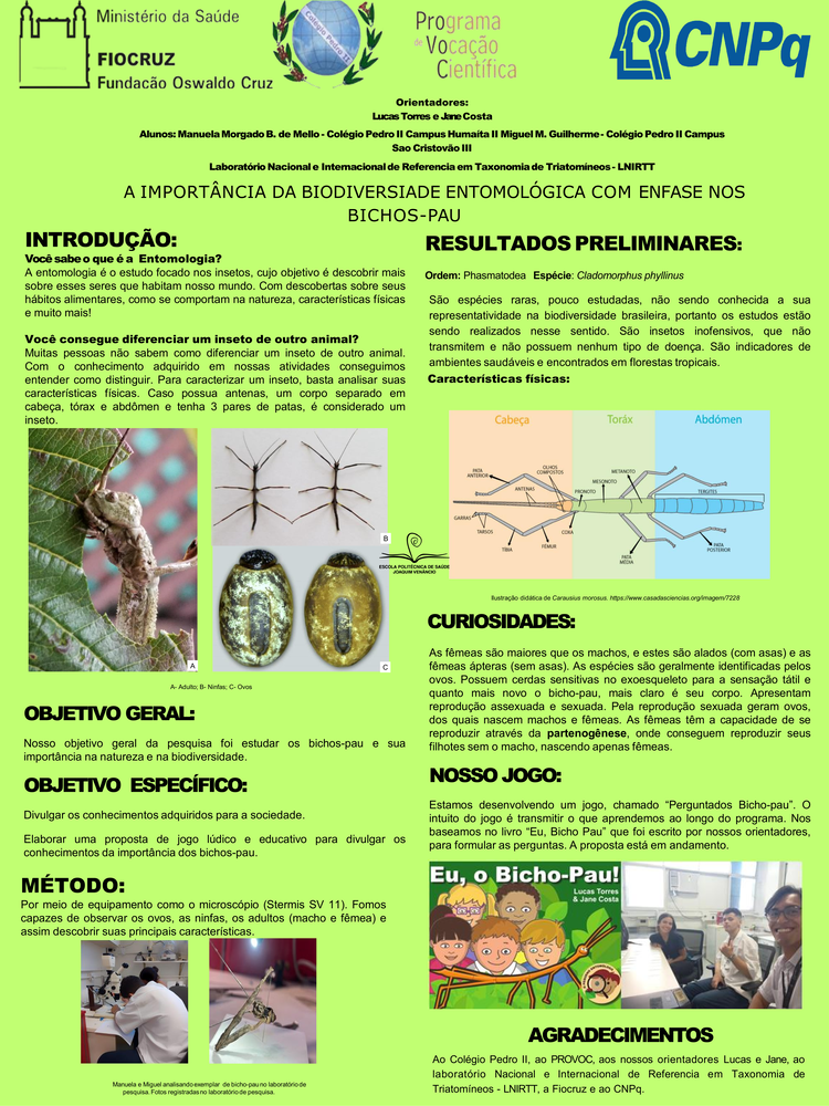 Pôster apresentado pelos estudantes Manuela Morgado B. de Mello e Miguel Matos Guilherme sob orientação da pesquisadora Jane Costa e coorientação do pesquisador Lucas Torres: A importância da biodiversidade entomológica com enfase nos bichos-pau.