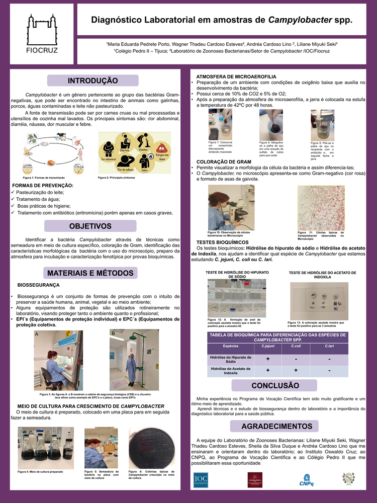 Pôster apresentado pela estudante Maria Eduarda Pedrete Porto sob orientação da pesquisadora Liliane Miyuki Seki e coorientação dos pesquisadores Wagner Thadeu Cardoso Esteves e Andréa Cardoso Lino: Diagnóstico Laboratorial em amostras de Campylobacter spp.