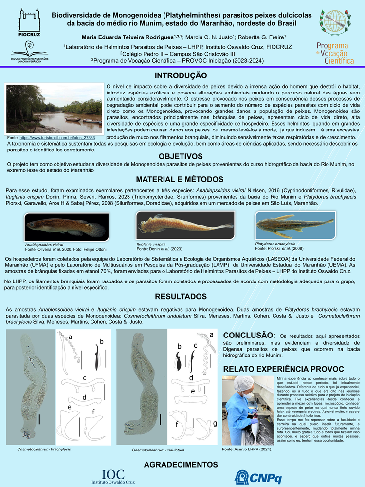 Pôster apresentado pela estudante Maria Eduarda Teixeira Rodrigues sob orientação da pesquisadora Marcia C. N. Justo e coorientação da pesquisadora Robertta G. Freire: Biodiversidade de Monogenoidea (Platyhelminthes) parasitos peixes dulcícolas da bacia do médio rio Munim, estado do Maranhão, Nordeste do Brasil.