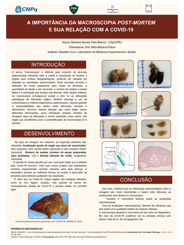 Pôster apresentado pela estudante Mariana Novais Dias Blanco sob orientação da pesquisadora Milla Bezerra Paiva: A importância da macroscopia post-mortem e sua relação com a Covid-19.