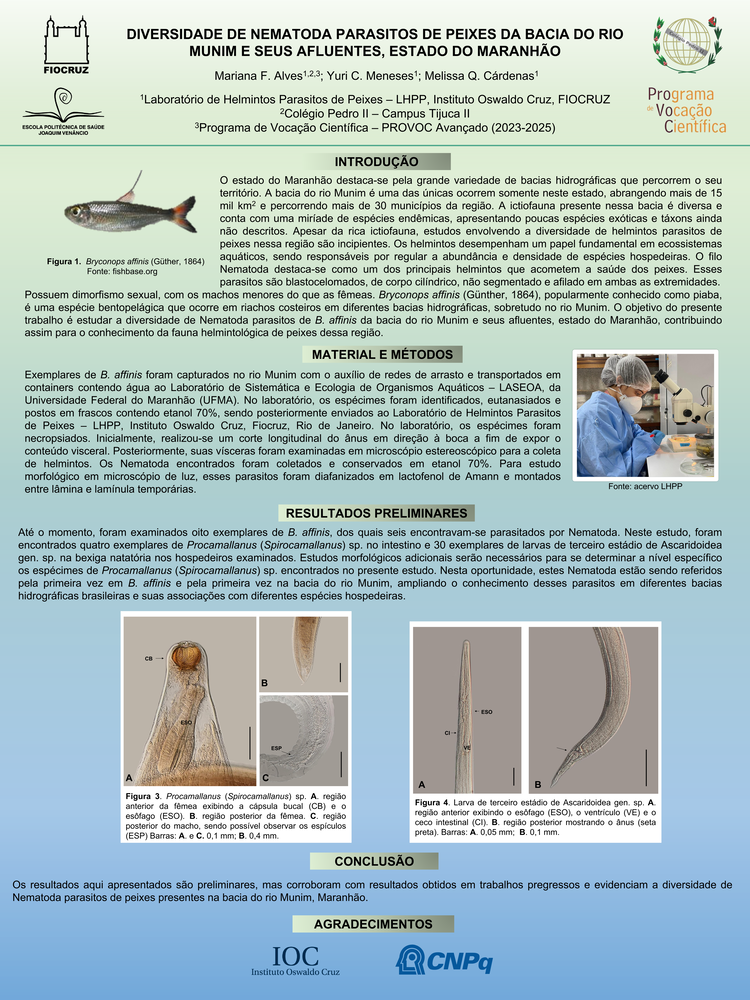 Pôster apresentado pela estudante Mariana de Figueredo Alves sob orientação dos pesquisadores Melissa Querido Cárdenas e Yuri Costa de Meneses: Diversidade de nematoda parasitos de peixes da bacia do rio Munim e seus afluentes, estado do Maranhão.