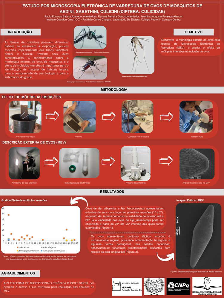 Pôster apresentado pelo estudante Paulo Eduardo Batista Azevedo sob orientação dos pesquisadores Rayane Ferreira Dias e Jeronimo Augusto Fonseca Alencar: Estudo por microscopia eletrônica de varredura de ovos de mosquitos de aedini, sabethini, culicini (diptera: culicidae).	