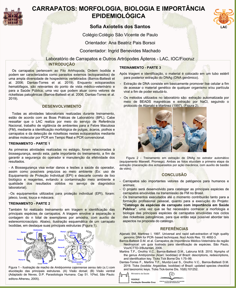 Pôster apresentado pela estudante Sofia Axiotelis dos Santos sob orientação da pesquisadora Ana Beatriz Pais Borsoi e coorientação da pesquisadora Ingrid Benevides Machado: Carrapatos: morfologia, biologia e importância epidemiológica.