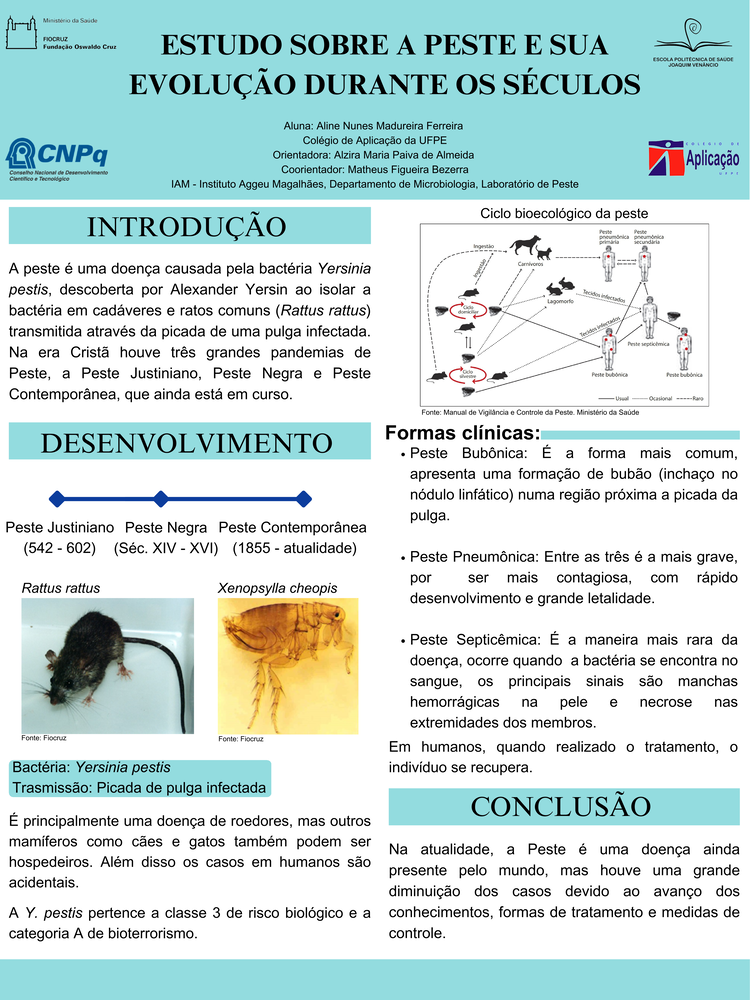 Pôster apresentado pela estudante Aline Nunes Madureira Ferreira sob orientação da pesquisadora Alzira Maria Paiva de Almeida: Estudo sobre a peste e sua evolução durante os séculos.