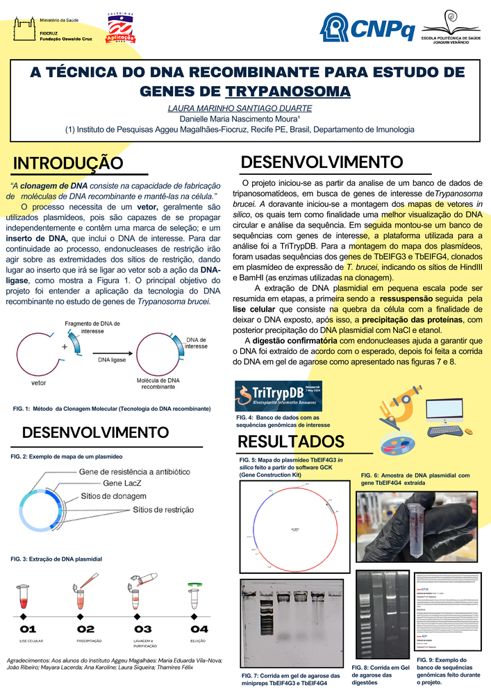 Pôster apresentado pela estudante Laura Marinho Santiago Duarte sob orientação da pesquisadora Danielle Maria Nascimento Moura: A técnica do DNA recombinante para estudo de genes de trypanosoma.